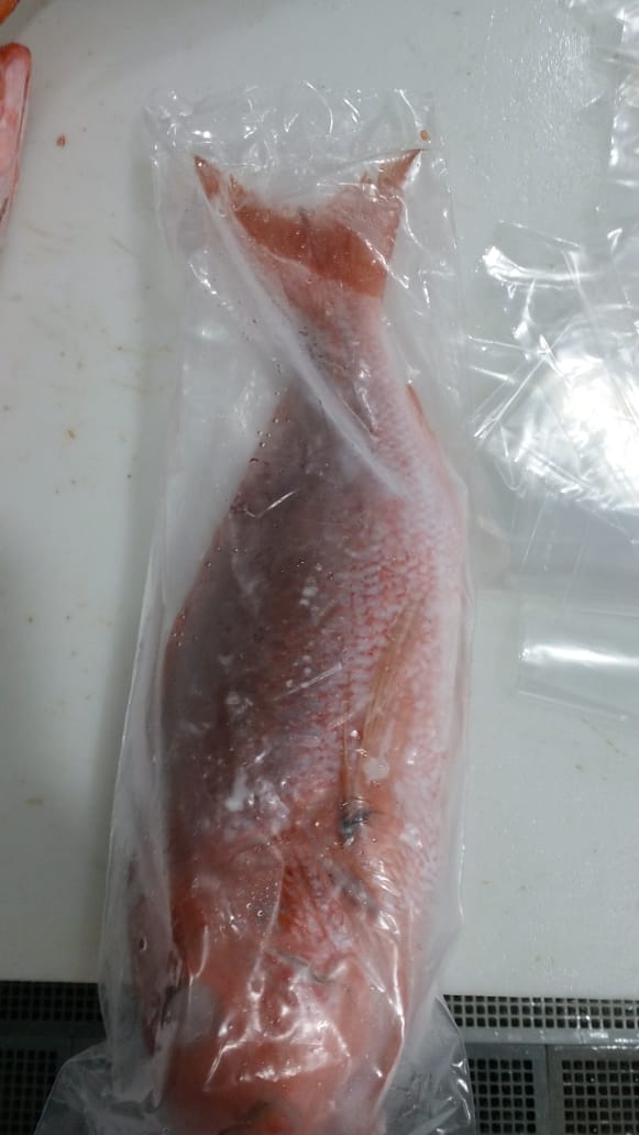 Pargo